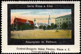 Albertplatz mit Rathaus