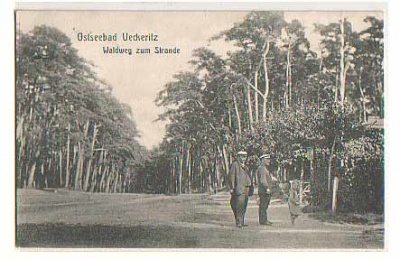 Ückeritz , Usedom Waldweg zum Strand 1907